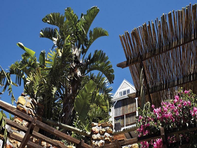 African Violet Guest Suites ヌールトフック エクステリア 写真