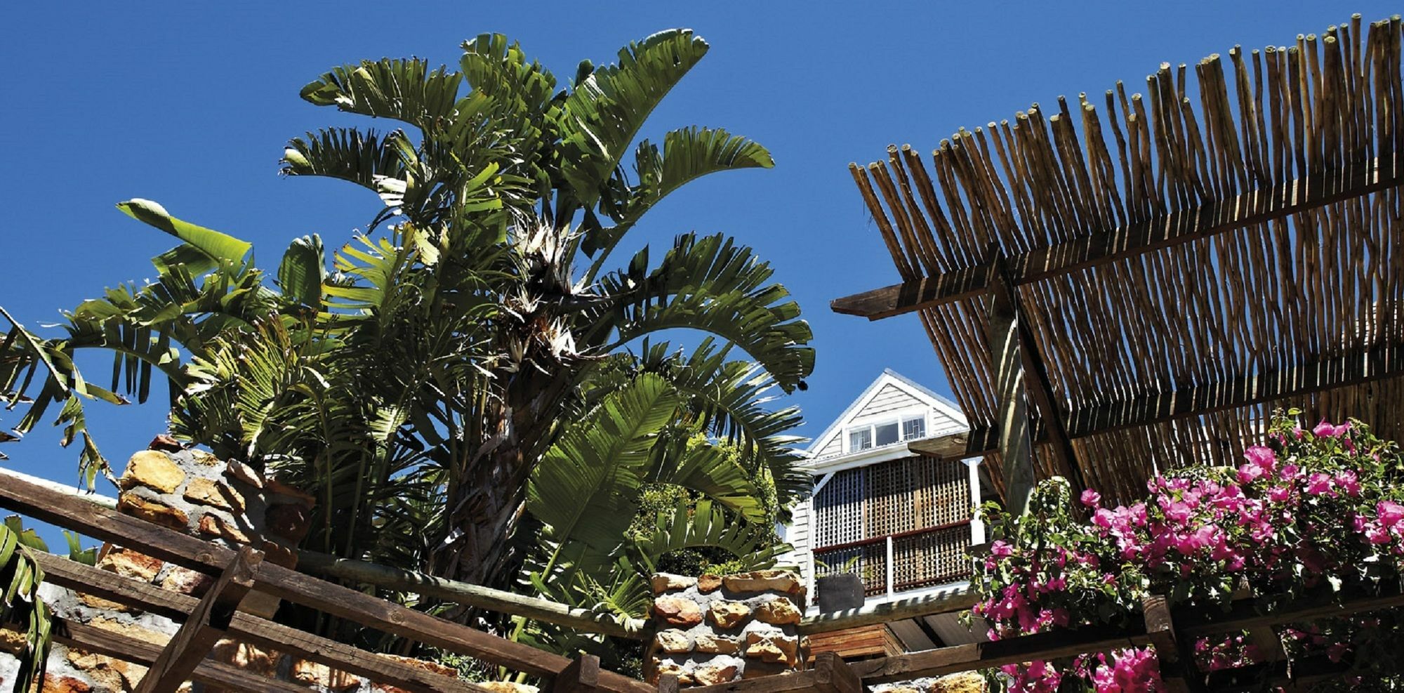 African Violet Guest Suites ヌールトフック エクステリア 写真